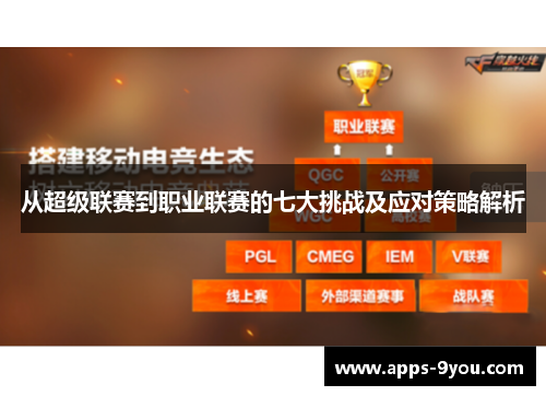 从超级联赛到职业联赛的七大挑战及应对策略解析