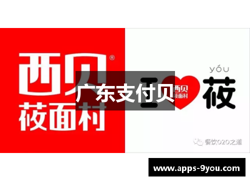 广东支付贝